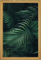 JUNIQE - Poster met houten lijst Feathered Palm -60x90 /Groen