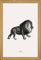 JUNIQE - Poster met houten lijst Lion -40x60 /Grijs & Ivoor