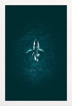 JUNIQE - Poster in houten lijst Humpback Breach -60x90 /Turkoois