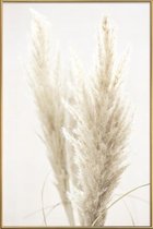 JUNIQE - Poster met kunststof lijst Pampas riet -13x18 /Ivoor & Wit