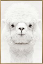 JUNIQE - Poster met kunststof lijst Smiling Alpaca -13x18 /Wit