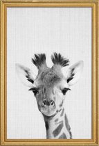 JUNIQE - Poster met houten lijst Giraffe - monochrome foto -20x30