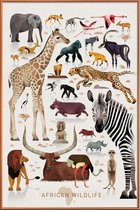 JUNIQE - Poster met kunststof lijst Vintage Afrika -20x30 /Kleurrijk