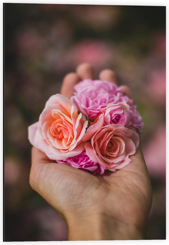 Dibond - Bloemen Handje  - 40x60cm Foto op Aluminium (Met Ophangsysteem)