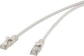 Renkforce RF-4259493 RJ45 Netwerkkabel, patchkabel CAT 5e F/UTP 3.00 m Grijs Snagless 1 stuk(s)
