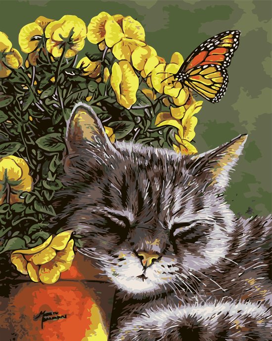 Foto: Paint by number schilderen op nummer sleepy cat paintbynumber eu