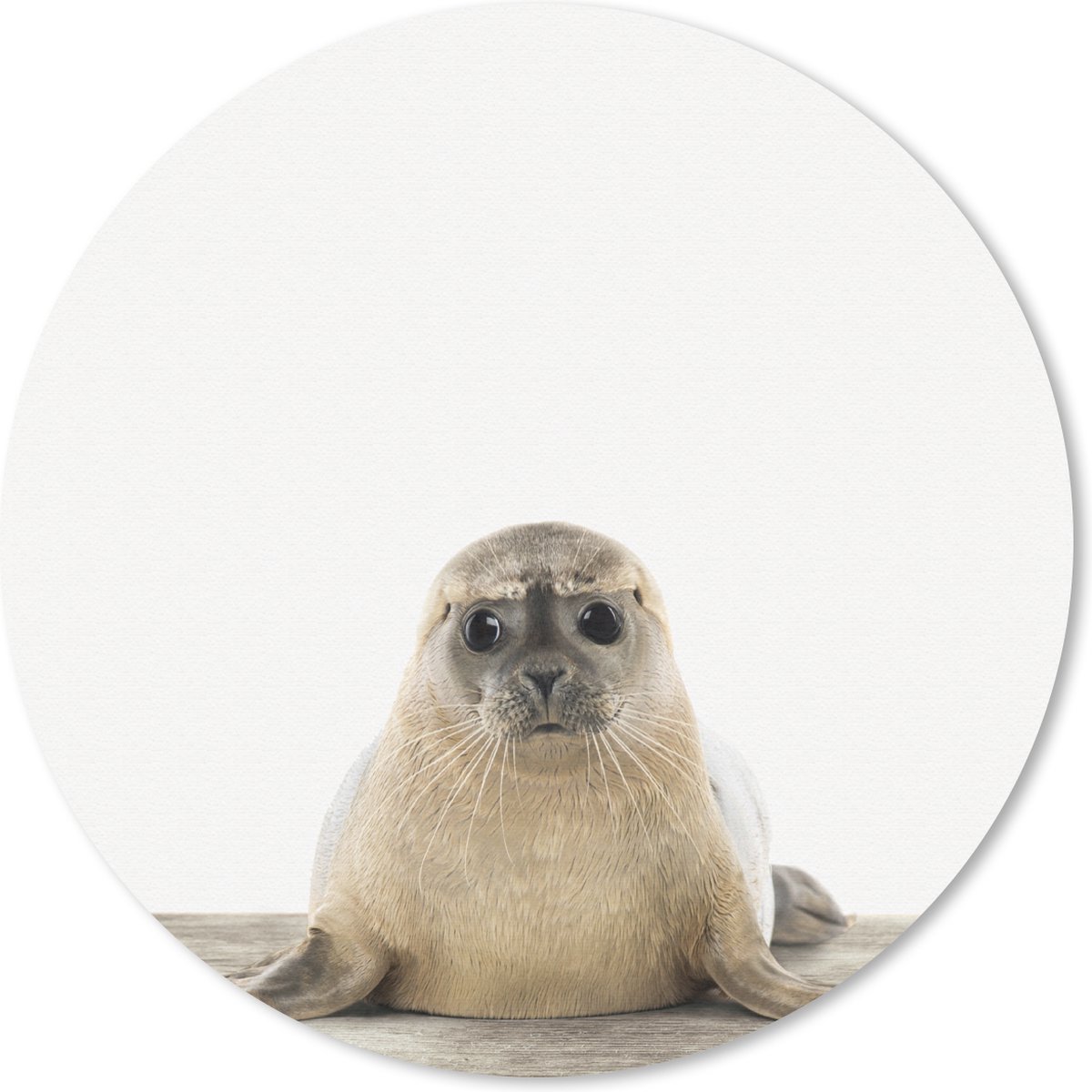Muismat Animalprintshop - Zeehondje dierenprint Muismat rond - 30x30 cm - Muismat met foto
