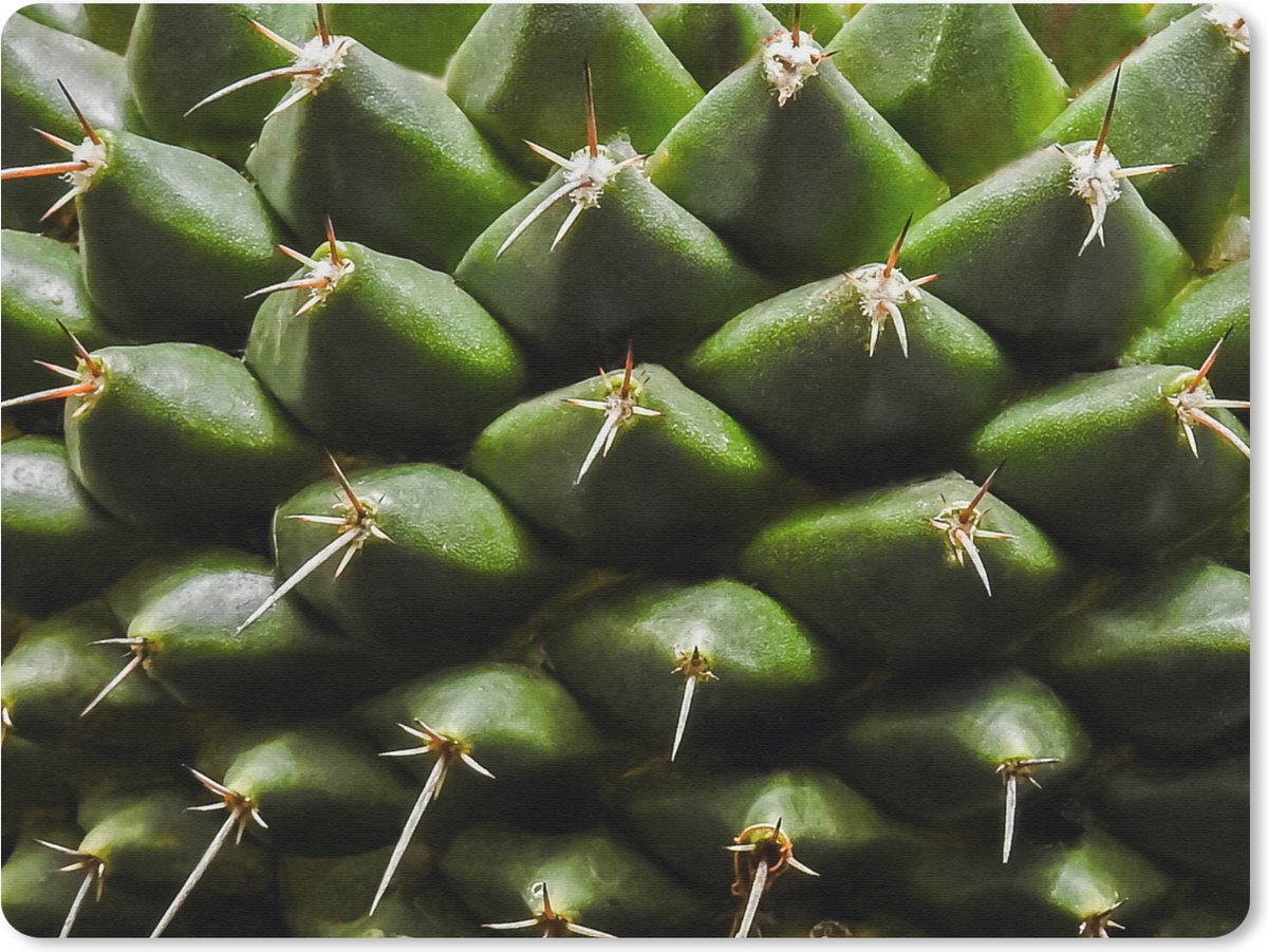 Muismat Cactus - Cactuspatronen muismat rubber - 40x30 cm - Muismat met foto
