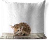 Sierkussen Animalprintshop voor buiten - Egeltje dierenprint - 60x60 cm - vierkant weerbestendig tuinkussen / tuinmeubelkussen van polyester