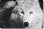 Muismat - Mousepad - Dichtbij weergeven wolf in zwart-wit - 27x18 cm