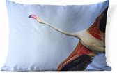 Buitenkussens - Tuin - Onderaanzicht van een vliegende flamingo - 50x30 cm