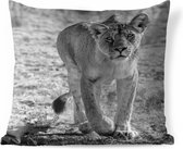 Buitenkussens - Tuin - Starende leeuwin - zwart-wit - 60x60 cm