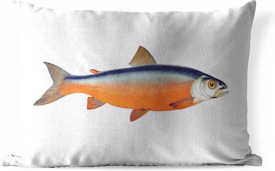 Buitenkussens - Tuin - Oranje zalm vis op een witte achtergrond - 50x30 cm