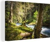 Canvas Schilderij Rivierbedding in de bossen van het Nationaal park Hohe Tauern - 120x80 cm - Wanddecoratie