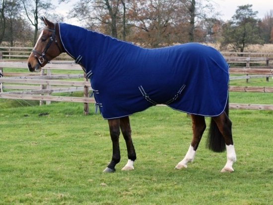 Bruin paard met een donkerblauwe fleecedeken met witte bies en kruissingels, staand in een weiland.