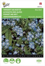Myosotis alpestris (vergeet-me-nietje)
