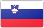 Vlag Slovenië - 200 x 300 cm - Polyester