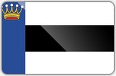 Vlag gemeente Heerenveen - 100 x 150 cm - Polyester