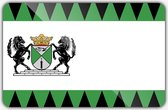 Vlag gemeente Emmen - 200 x 300 cm - Polyester