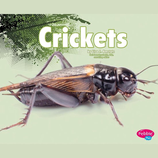 Crickets - cover