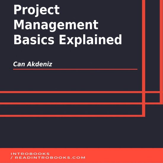 Project Management Basics Explained - cover