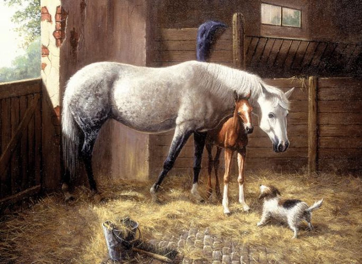 Schilderen op nummer - Paint by numbers - Volwassenen - Paard met veulen en pup in de stal