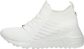Steve Madden Cello Sneakers Laag - wit - Maat 37