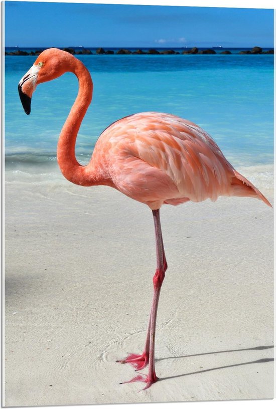 Acrylglas - Flamingo op Tropisch Strand - 60x90cm Foto op Acrylglas (Wanddecoratie op Acrylglas)