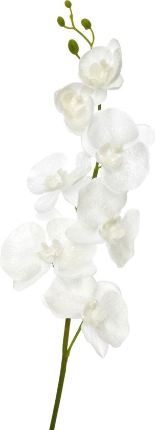 J-Line bloem Orchidee - polyester - wit - 12 stuks