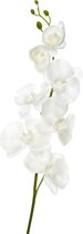 J-Line Orchidee Polyester Wit 98Cm - 12 stuks