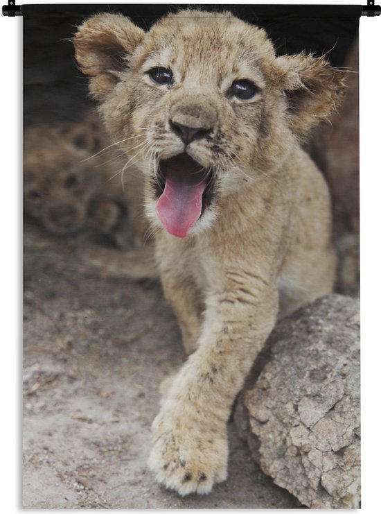 Tapisserie Lions - Cub Tapisserie coton 90x135 cm - Tapisserie avec photo