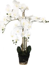 Grote Levensechte Kunst Orchidee / Phlaenopsis plant 100 cm met pot ( 5-taks vol bloemen) kleur Wit