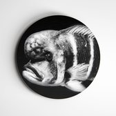 Muurcirkel vis zwart wit | Exclusive Animals | wanddecoratie - 40x40cm