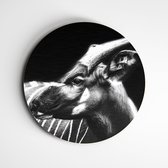 Muurcirkel Bongo zwart wit | Exclusive Animals | wanddecoratie dieren - 60x60cm