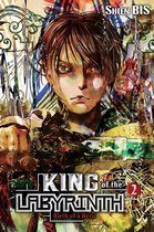 King of the Labyrinth (light novel) 1 - King of the Labyrinth, Vol. 2 (light novel)