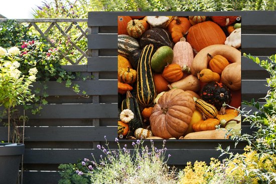Tuinposter 100x100 cm - Tuindecoratie Pompoen - Herfst - Oranje - Poster voor in de tuin - Buiten decoratie - Schutting tuinschilderij - Tuindoek muurdecoratie - Wanddecoratie balkondoek