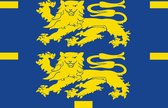 Vlag West-Friesland 40x60cm