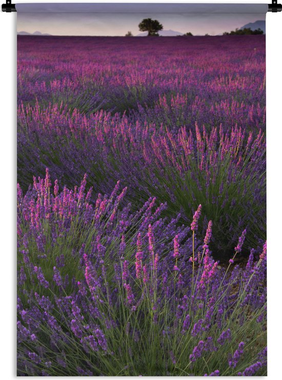Tapisserie Lavande - Coucher de soleil champ de lavande éclairé en France Tapisserie coton 120x180 cm - Tapisserie murale avec photo XXL / Groot format !