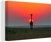 Canvas Schilderij Giraffe - Zon - Lucht - 30x20 cm - Wanddecoratie