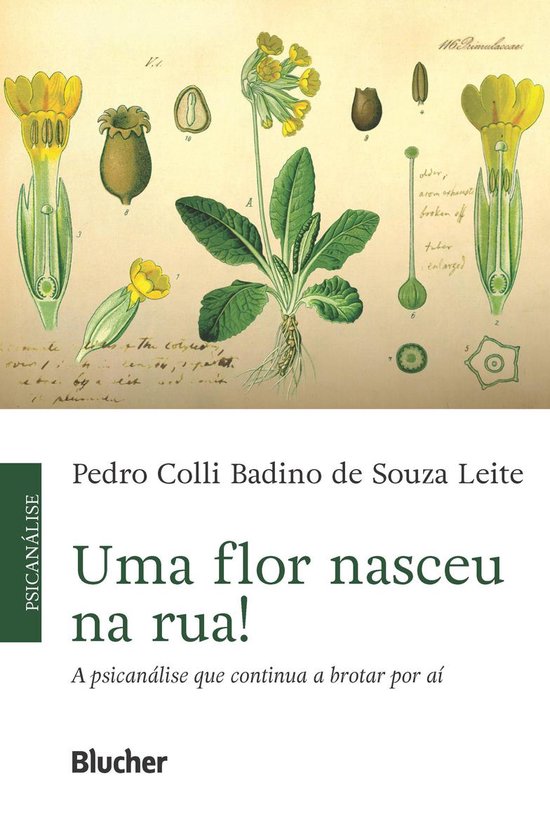 Uma flor nasceu na rua! - cover