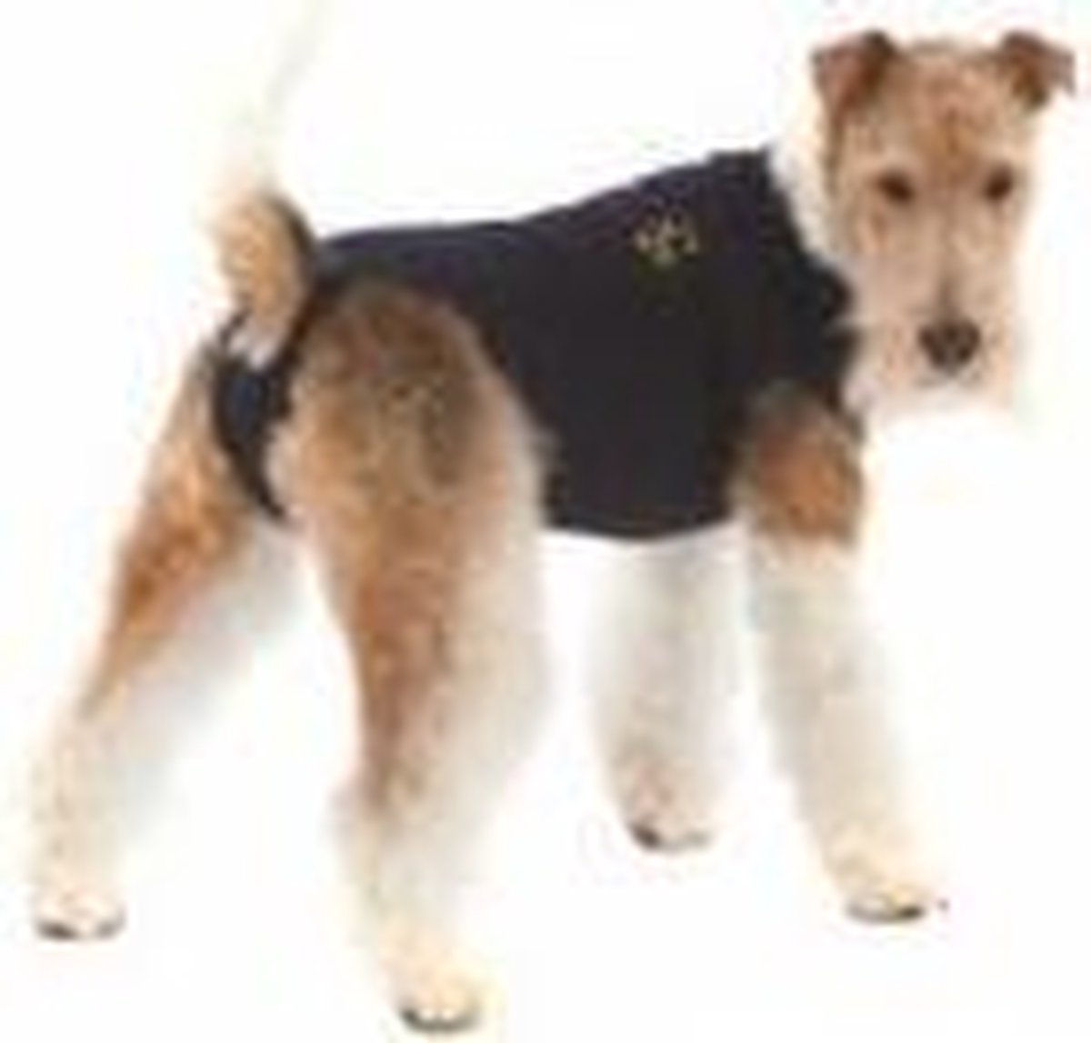 Medical Pet Shirt Hond - Blauw XS - Medical Pet Shirt