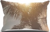 Sierkussen Palm