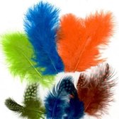 Vaessen Creative Marabou - feathers & guinea fowl - 5-13cm - Neon