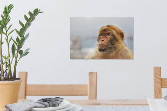 Portrait de Macaque de Barbarie sur toile 30x20 cm - petit - Tirage photo sur toile (Décoration murale salon / chambre) / Peintures sur toile Animaux