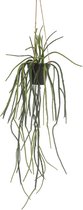 Kunstplant - Rhypsalis - Koraalcactus - 85 cm