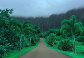 Fotobehang - Vlies Behang - Tropisch Landschap in Hawaii - 368 x 254 cm