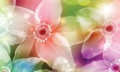 Fotobehang - Vlies Behang - Bloemen in Regenboogkleuren - 368 x 254 cm