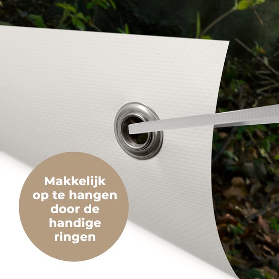 Décoration murale Forêt - Arbre - Chemin - 180x120 cm - Affiche jardin