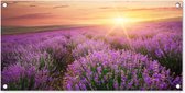 Tuinposter - Bloemen - Lavendel - Zon - Wanddecoratie - 80x40 cm - Tuindoek - Muurdecoratie