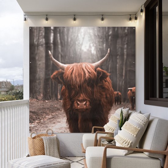 Affiche de Jardin Highlander écossais - Animaux - Vaches - 200x200 cm